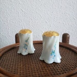 Antique Limoge T&V France? Salt Pepper Shakers Gold Top Corked Blue Flowers